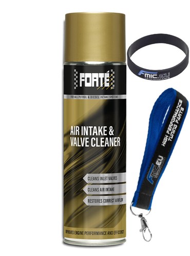 Forte air intake and - forte,