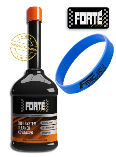 Forte fuel system cleaner - forte,